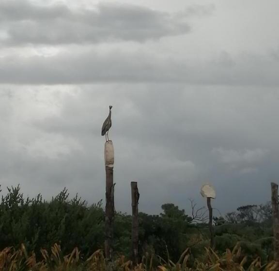 הוסטל Casa Kayab