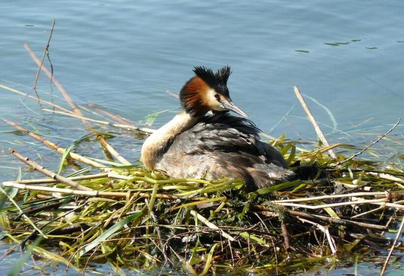 צימר Guest House Il Nido Dello Svasso  Foresteria Lombarda