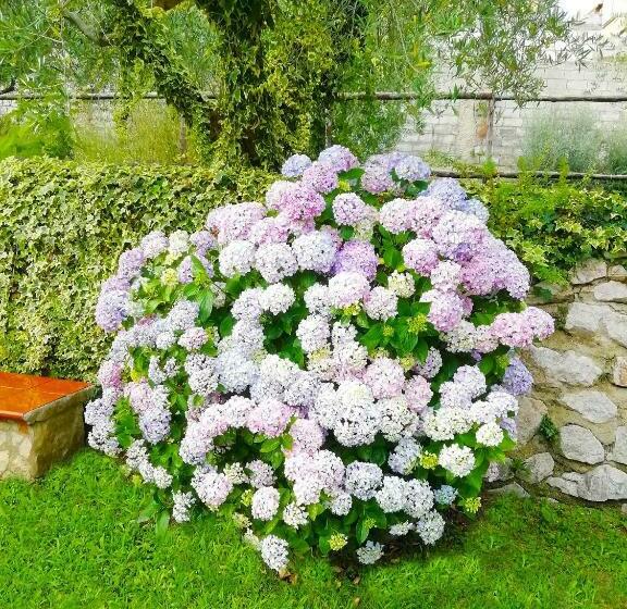 B&b Maison Villa Vittorio