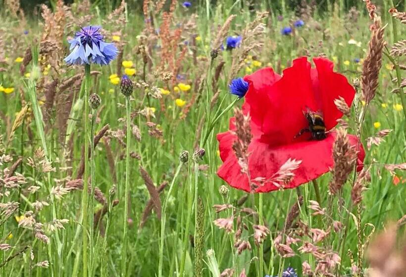 住宿加早餐  84huis