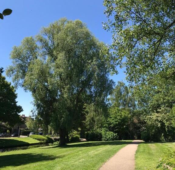 住宿加早餐  84huis