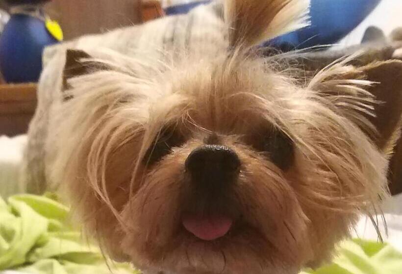 住宿加早餐 Ble Mavi Studio For 2