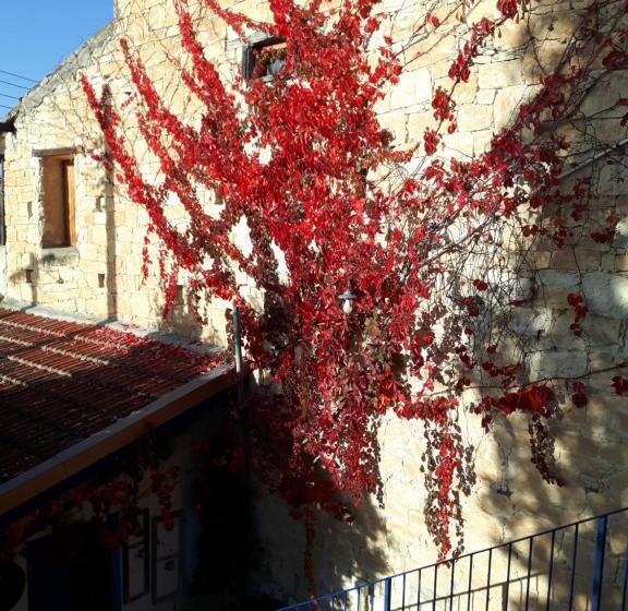 住宿加早餐 Ble Mavi Studio For 2