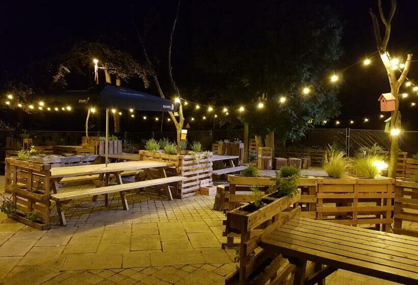 ベッドアンドブレックファースト Bosbaar