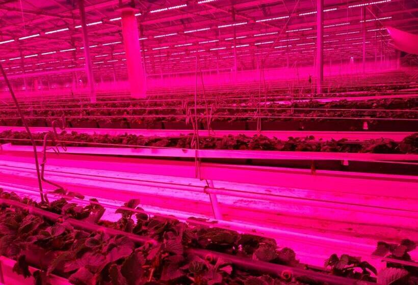 مبيت وإفطار De Bonderbei