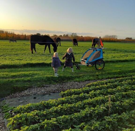 مبيت وإفطار De Bonderbei