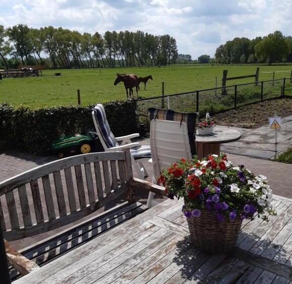 تختخواب و صبحانه De Weije Wereld