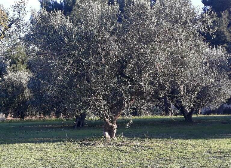 ベッドアンドブレックファースト La Collina Sul Mare