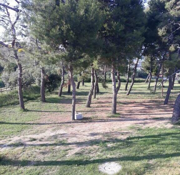 ベッドアンドブレックファースト La Collina Sul Mare