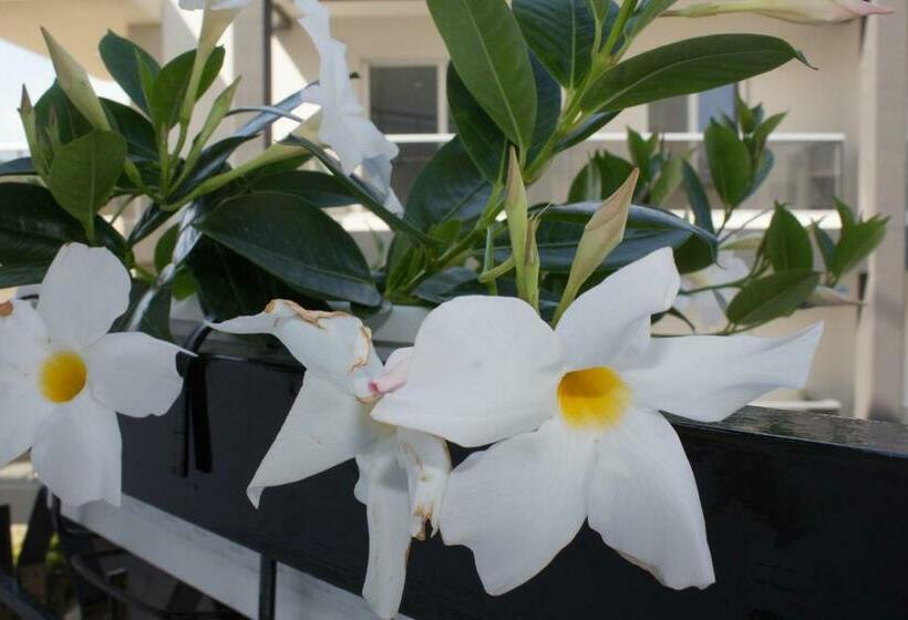 住宿加早餐 La Dimora Di Greta