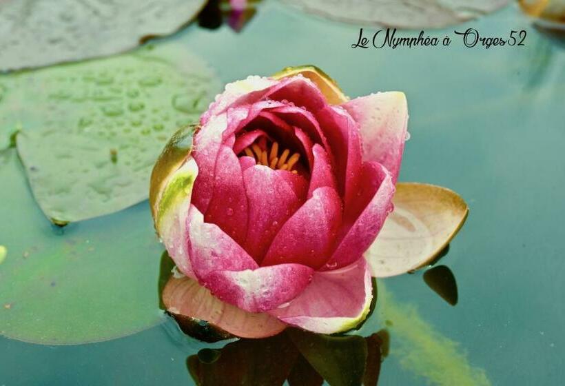 צימר Les Nymphéas 52