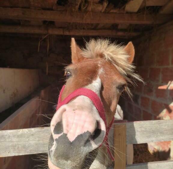 مبيت وإفطار Nature Et Al House   Casa Para Uso Exclusivo Com Jardim