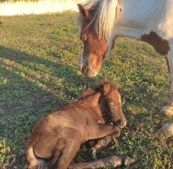 مبيت وإفطار Nature Et Al House   Casa Para Uso Exclusivo Com Jardim