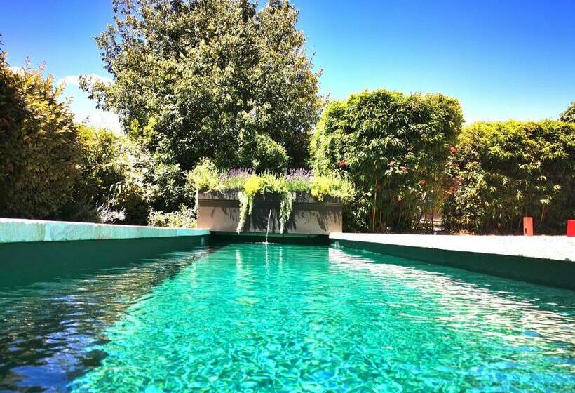 צימר Provence Km28