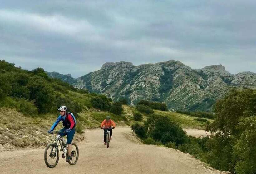 צימר Provence Km28