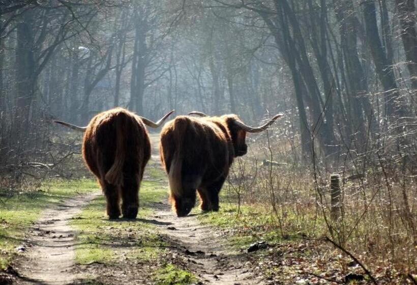 צימר Slapen Bij De Buurvrouw