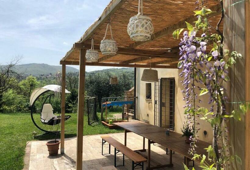 Bed and Breakfast Terra Della Lanterna