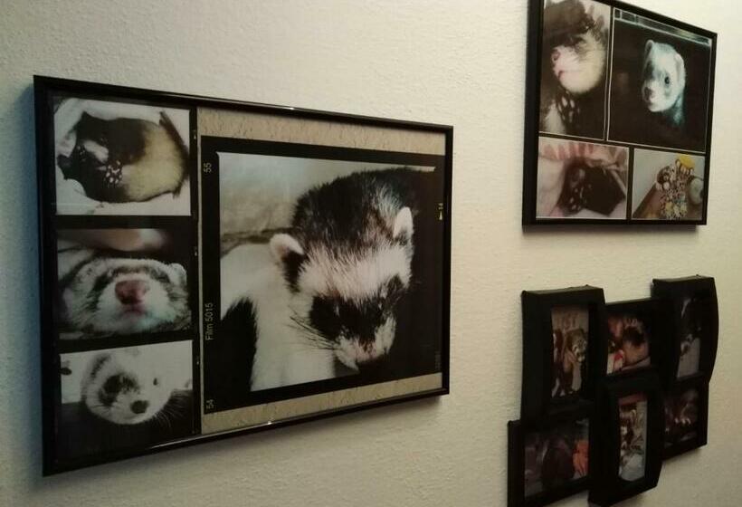 Bed and Breakfast The Roses Garden