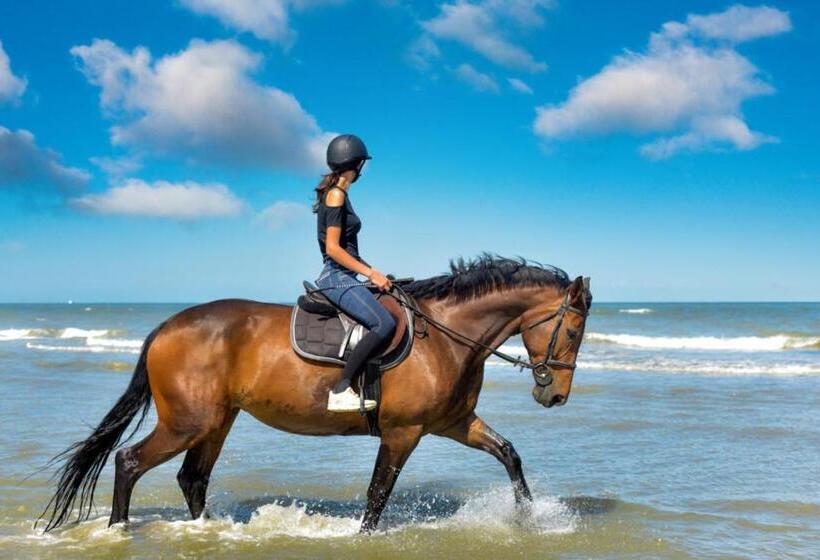 ベッドアンドブレックファースト Villa Les Quatre Vents