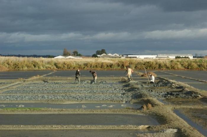 ベッドアンドブレックファースト Villa Les Quatre Vents