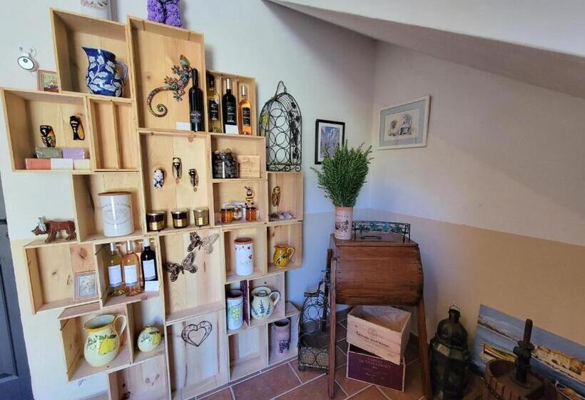 ベッドアンドブレックファースト Villa Tropez Chambres D Hôtes