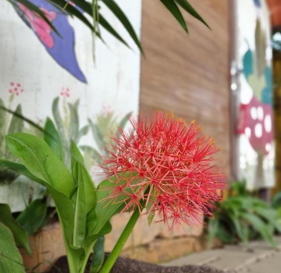 Hostel Portal Das Fadas