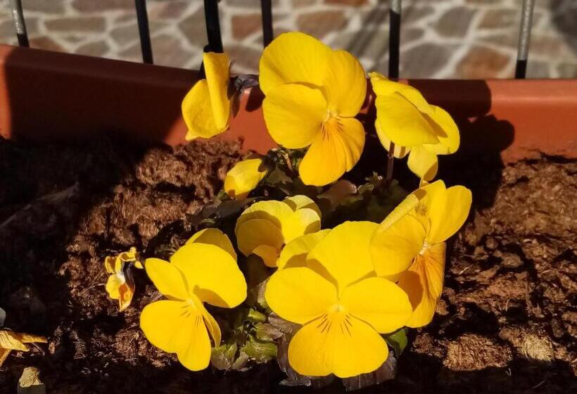 ホテル Ca Del Laki