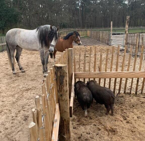 فندق Duynparc Soest