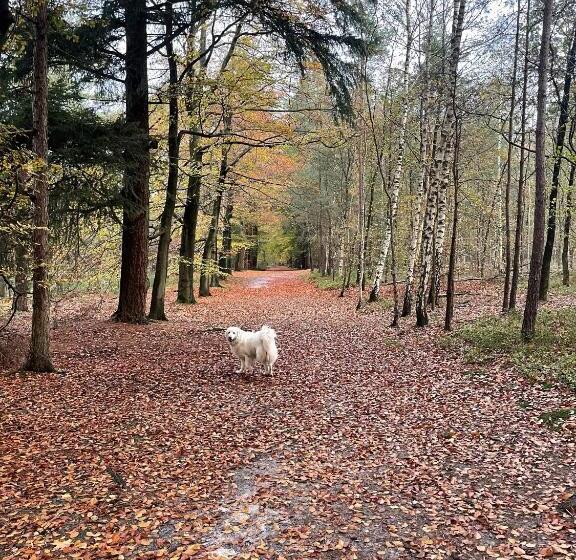 فندق Duynparc Soest