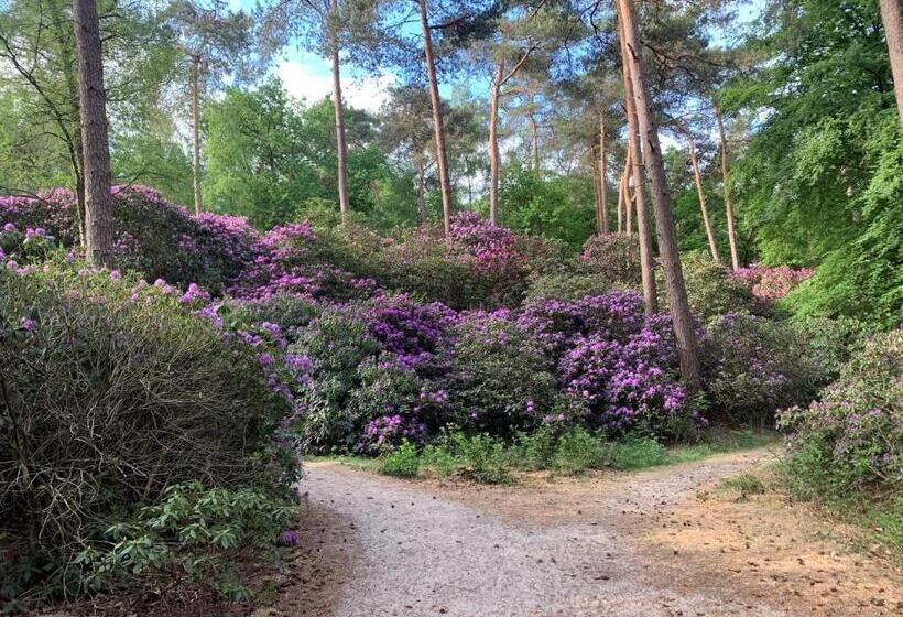 فندق Duynparc Soest