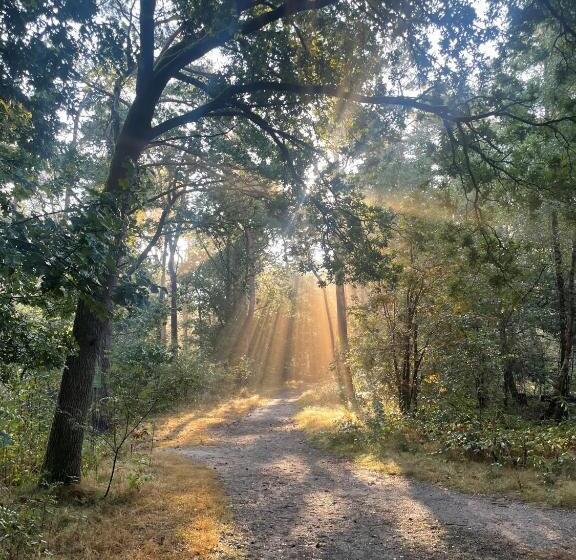 هتل Duynparc Soest