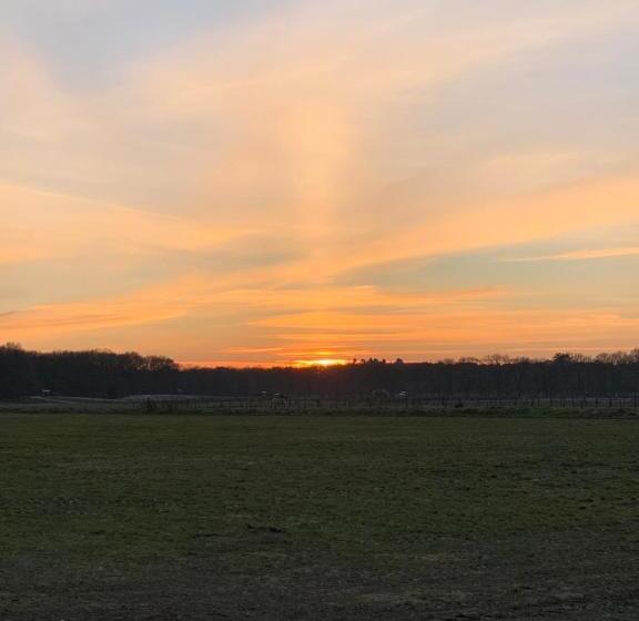 فندق Duynparc Soest