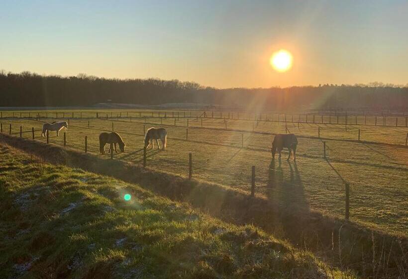 فندق Duynparc Soest