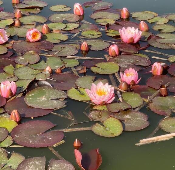 فندق Duynparc Soest