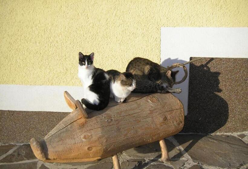 בית מלון כפרי Familienbauernhof Glockriegl