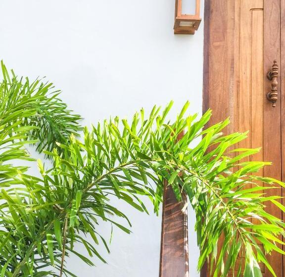 ホテル Mayara Pool Villas Adults Only