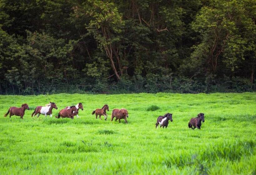 ホテル Thong Somboon Club