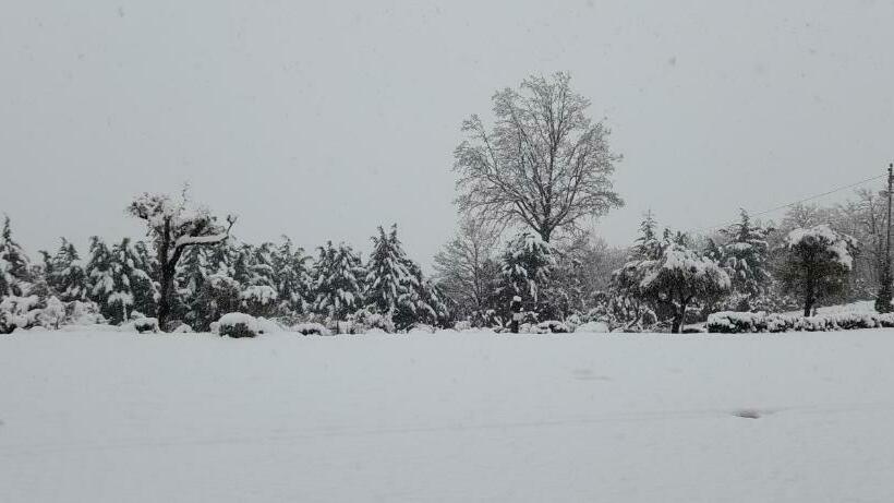 Masseria Boutique B&b