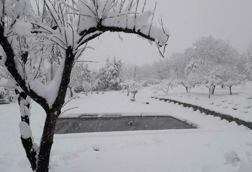 Masseria Boutique B&b