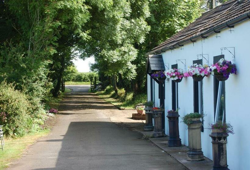 Moorclose Bed And Breakfast