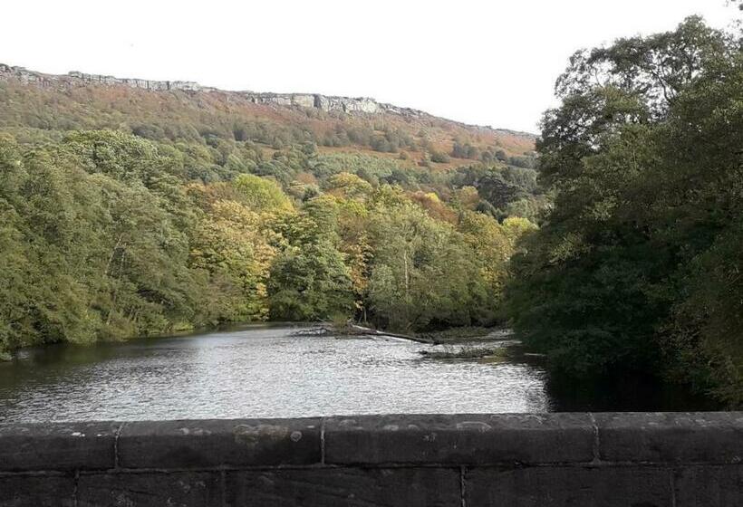 Old Orchard Bed & Breakfast