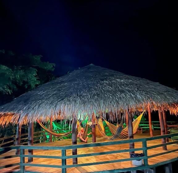 ペンション Amazônia Exxperience