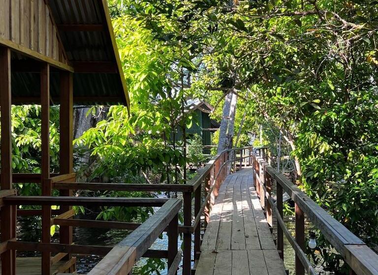 ペンション Amazônia Exxperience