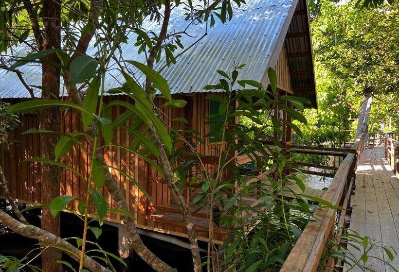 ペンション Amazônia Exxperience