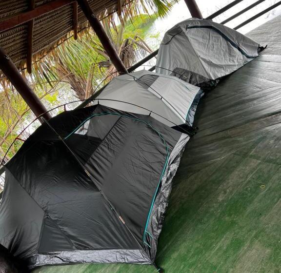 ペンション Amazônia Exxperience