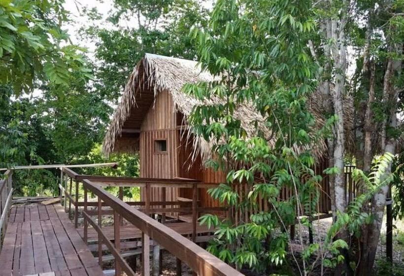 ペンション Amazônia Exxperience