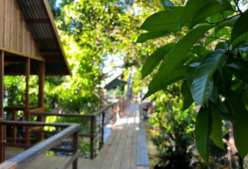 ペンション Amazônia Exxperience