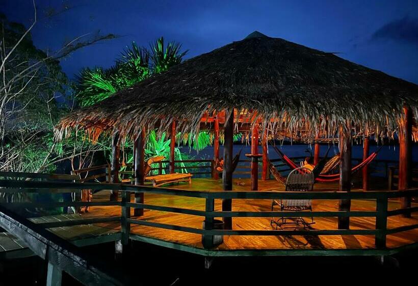 ペンション Amazônia Exxperience