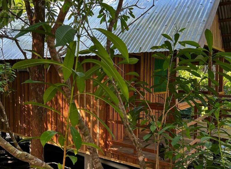 ペンション Amazônia Exxperience