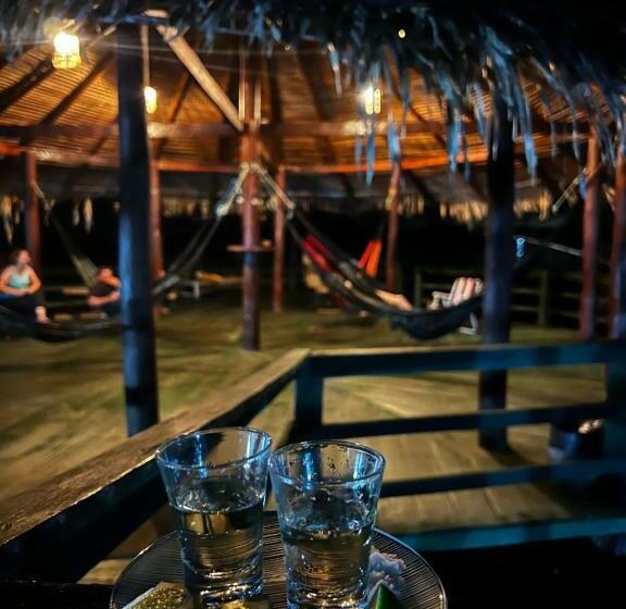 ペンション Amazônia Exxperience